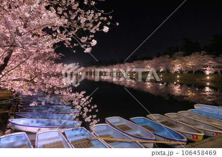 青森県弘前市下白銀町　弘前公園西濠を囲むソメイヨシノの桜並木ライトアップと水面の水鏡 106458469