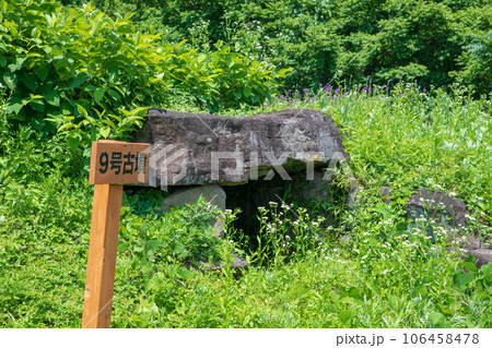 奈良古墳群 9号古墳 真夏の風景 沼田市 奈良古墳群 9号古墳 真夏の風景 沼田市 106458478