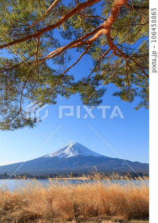 山梨河口湖_ススキと富士山の絶景風景 山梨河口湖_ススキと富士山の絶景風景 106458865