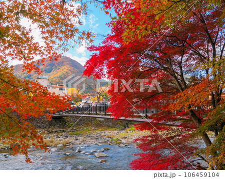 紅葉の中の吊橋 (栃木県、塩原温泉、紅の吊橋) 106459104