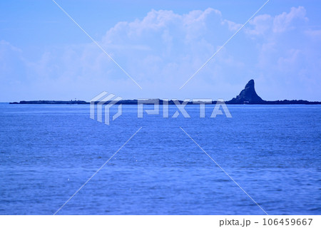 夏の湘南-茅ヶ崎海岸 106459667