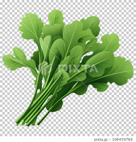 fresh, arugula, green, healthy, food, organic,...のイラスト素材 [106459768 ...