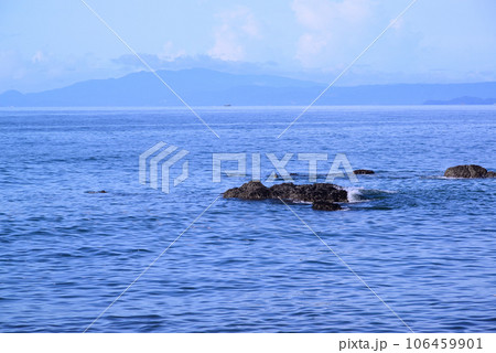アオバトの飛来する大磯照ヶ崎海岸 アオバトの飛来する大磯照ヶ崎海岸 106459901