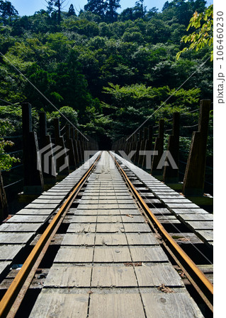 屋久島　川の上のトロッコ道 106460230