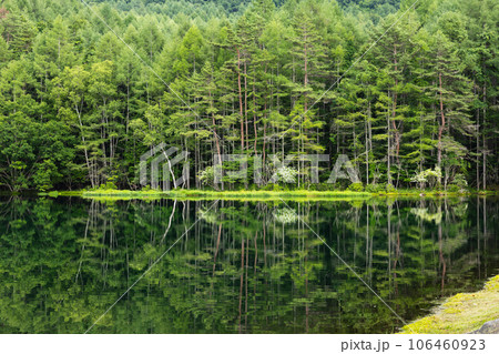 夏の美しい御射鹿池 106460923