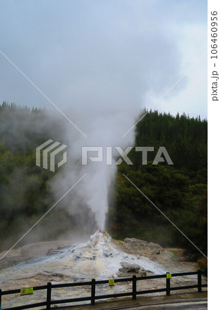 ワイオタプ・サーマル・ワンダーランドのレデイ・ノックス間欠泉 ワイオタプ・サーマル・ワンダーランドのレデイ・ノックス間欠泉 106460956