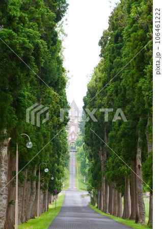トラピスト修道院と並木道 トラピスト修道院と並木道 106461222