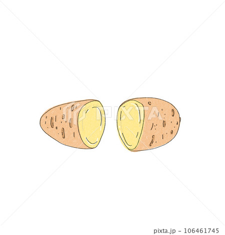 Sweet Potato Drawing Images - Free Download on Freepik