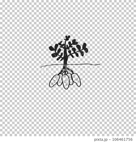 Potato drawing Potato drawing 106461756