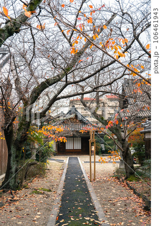 Japanese traditional town Imaicho old temple at autumn in Nara, Japan Japanese traditional town Imaicho old temple at autumn in Nara, Japan 106461943