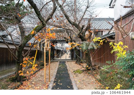 Japanese traditional town Imaicho old temple at autumn in Nara, Japan Japanese traditional town Imaicho old temple at autumn in Nara, Japan 106461944