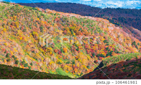 秋の安達太良山登山：くろがね小屋付近の紅葉 106461981