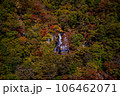 紅葉で色付いた霧降の滝 106462071