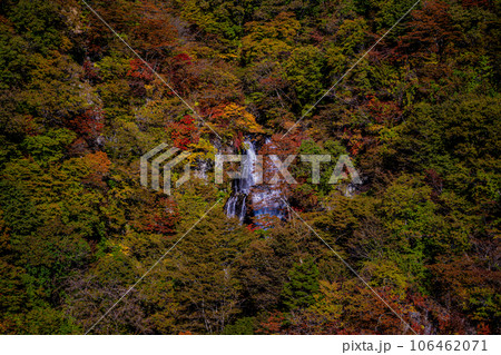 紅葉で色付いた霧降の滝 紅葉で色付いた霧降の滝 106462071