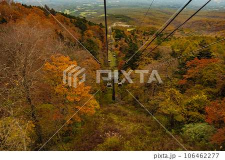 マウントジーンズ那須のゴンドラからの紅葉の景色 マウントジーンズ那須のゴンドラからの紅葉の景色 106462277