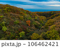 つつじ吊り橋からの紅葉の景色 106462421