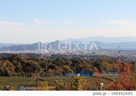 駿河湾沼津SAから眺める茶畑と沼津市街 106462605