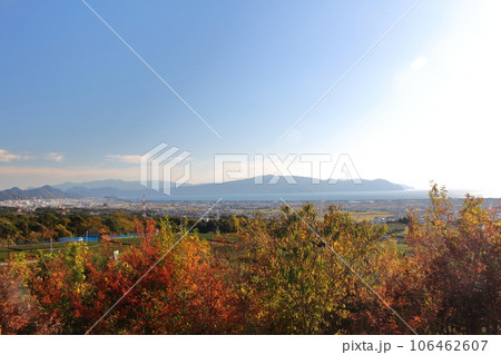 紅葉の木々と駿河湾 106462607