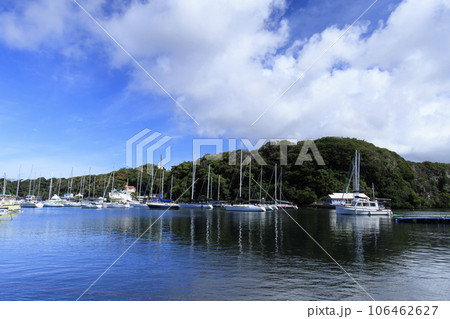 三浦市小網代湾の夏 三浦市小網代湾の夏 106462627