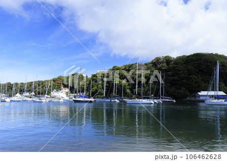 三浦市小網代湾の夏 三浦市小網代湾の夏 106462628