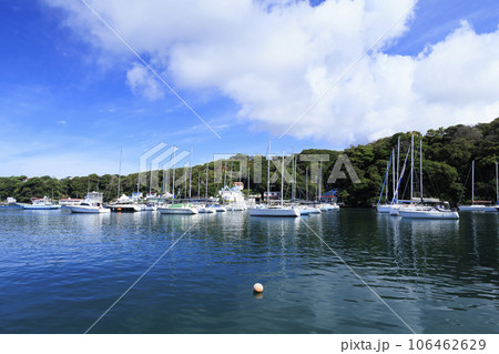 三浦市小網代湾の夏 106462629