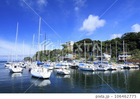 神奈川県三浦市諸磯の夏 106462775