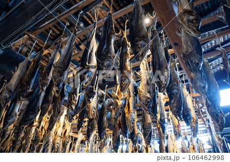 新潟 村上の塩引き鮭 新潟 村上の塩引き鮭 106462998