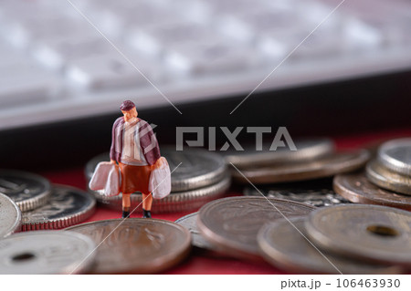 お金 硬貨 ミニチュア 家計 費用 エコノミー 節約 106463930