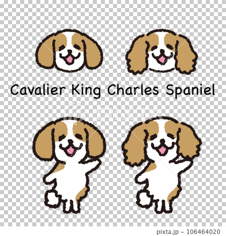 Smiling Cavalier standing on two legs face and whole body set Smiling Cavalier standing on two legs face and whole body set 106464020