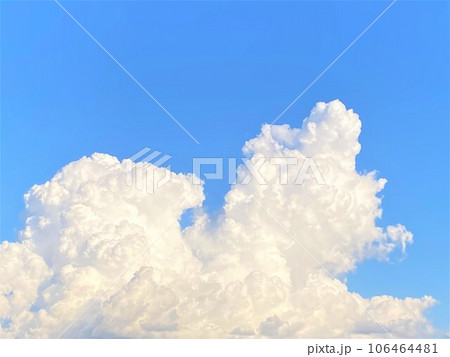 何かに似ている雲 犬 何かに似ている雲 犬 106464481