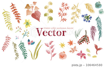 オシャレな秋の植物の水彩手書きベクターイラスト 106464580