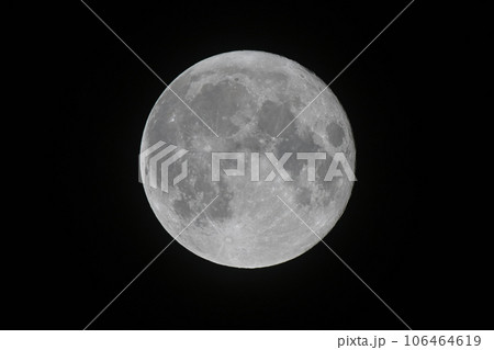 スーパーブルームーン 106464619