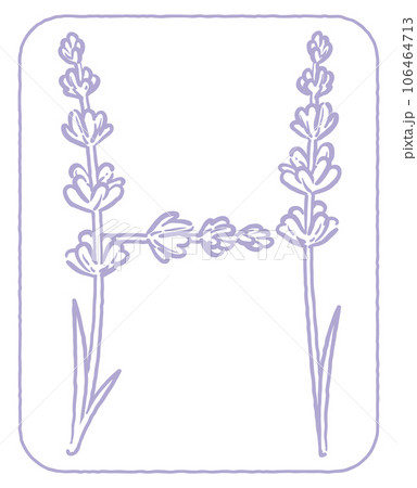 ラベンダーの花のスケッチ風、デザイン文字。「H」。ベクター素材。 ラベンダーの花のスケッチ風、デザイン文字。「H」。ベクター素材。 106464713