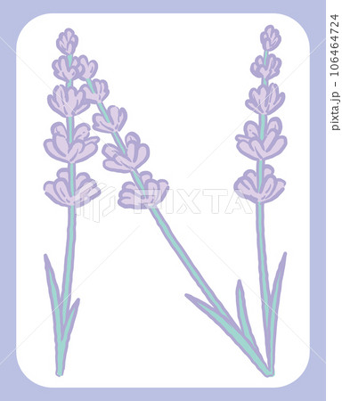 ラベンダーの花のスケッチ風、デザイン文字。「N」。ベクター素材。 106464724