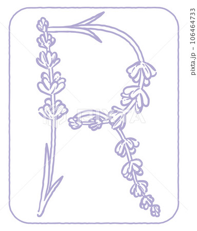 ラベンダーの花のスケッチ風、デザイン文字。「R」。ベクター素材。 ラベンダーの花のスケッチ風、デザイン文字。「R」。ベクター素材。 106464733