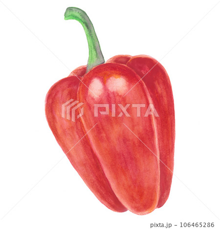 赤いパプリカの水彩手描きイラスト素材 106465286