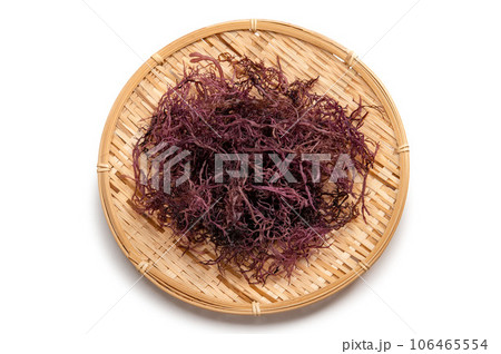 関東東北の布海苔、のげのり 106465554