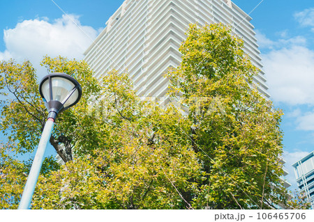 green city plant tree park around office building for carbon absorb for sustainability environmental living 106465706