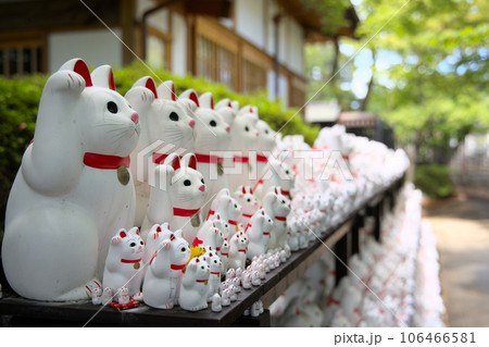 豪徳寺 招き猫 東京都世田谷区豪徳寺 豪徳寺 招き猫 東京都世田谷区豪徳寺 106466581
