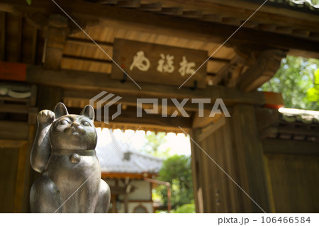 豪徳寺 招福殿 東京都世田谷区豪徳寺 豪徳寺 招福殿 東京都世田谷区豪徳寺 106466584