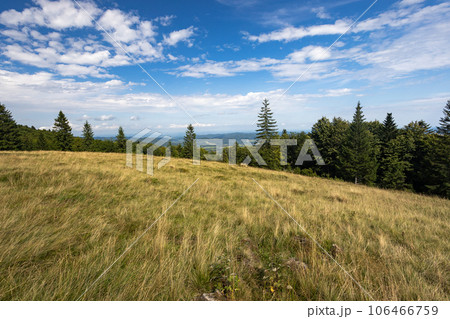 Photography of mountains in summer. 106466759
