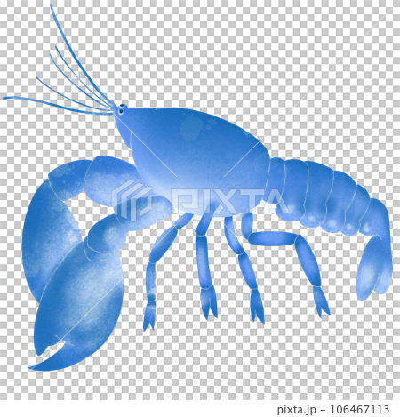 blue shrimp blue shrimp 106467113