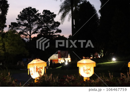 夏の風物詩みやざきランタンナイト 106467759