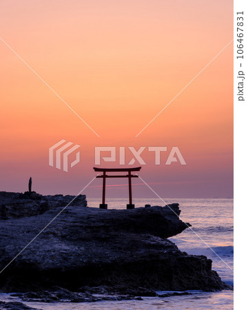 静岡伊豆白浜_白濱神社大明神岩の赤鳥居と朝日の絶景 静岡伊豆白浜_白濱神社大明神岩の赤鳥居と朝日の絶景 106467831