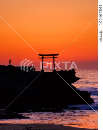 静岡伊豆白浜_白濱神社大明神岩の赤鳥居と朝日の絶景 106467841