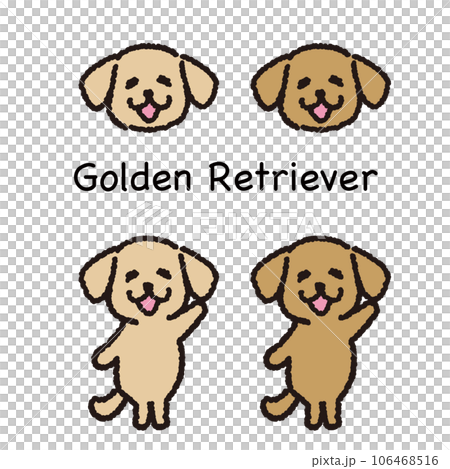 微笑的金毛獵犬站在兩條腿的臉上和全身 106468516