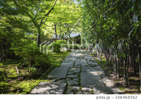 日本庭園の初夏 日本庭園の初夏 106468562