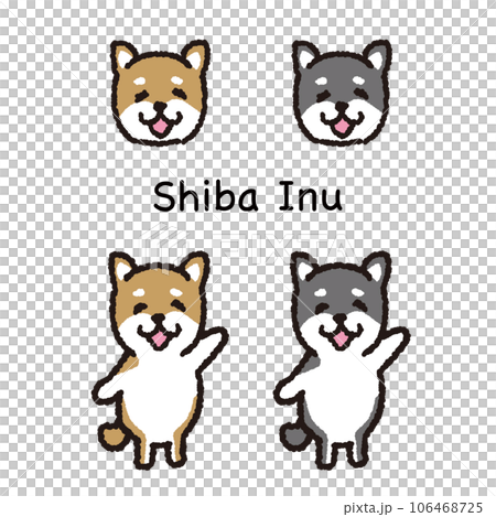 A smiling Shiba Inu standing on two legs Face and whole body set 106468725