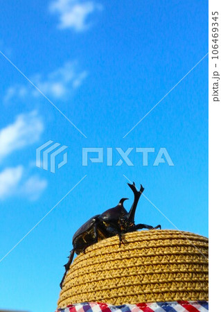 白い雲が浮かぶ青空の下で麦わら帽子に登ってるカブトムシの夏風景 106469345