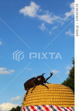 白い雲か浮かぶ青空の里山で麦わら帽子に登ってるカブトムシの夏風景 106469639